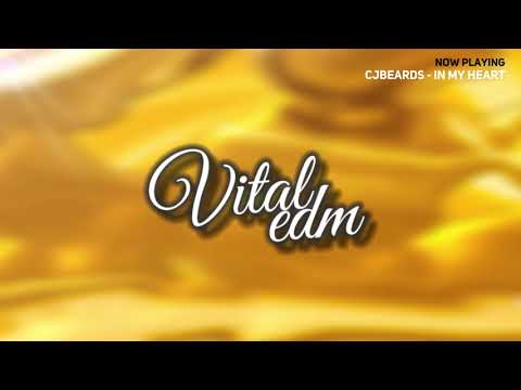 [ELECTRONIC] Cjbeards - In My Heart