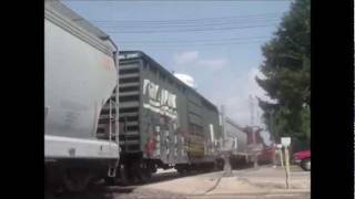 preview picture of video 'Railfanning Rochelle Railroad Park June 3, 2011'
