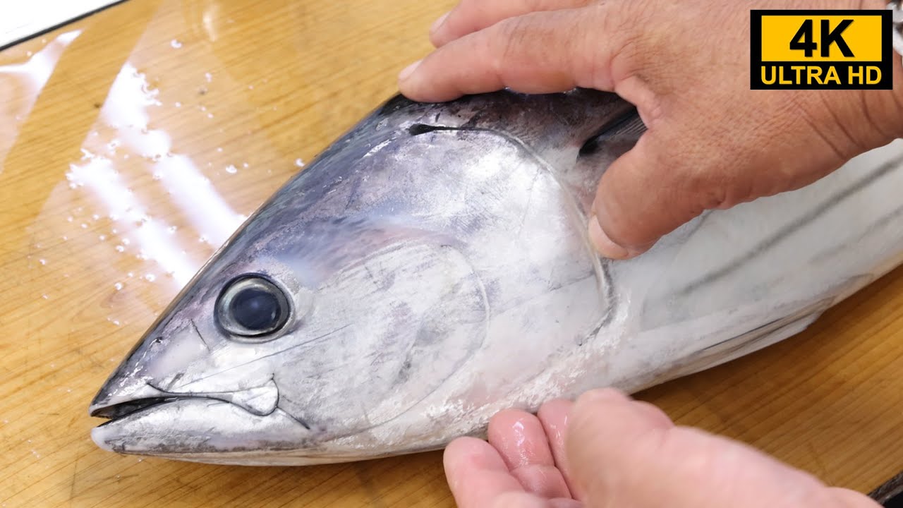 かつお漁師が教えるカツオの目利き、捌き方、旨いタタキを作るコツ！