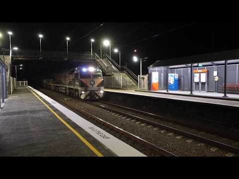 CF4412 Black Caviar & CF4411 with Crawfords/SRS 4192 - 11/4/19