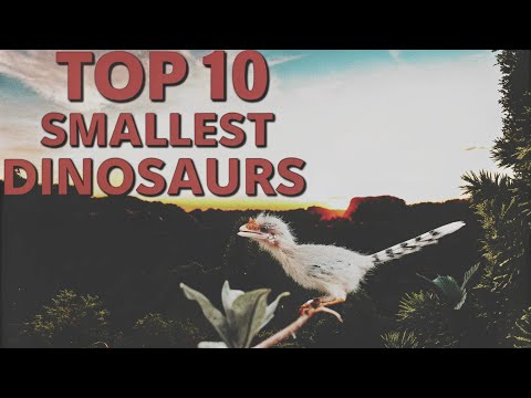 🦖🌍 Top 10 Smallest Dinosaurs Ever Lived on Earth! 🐾🔥