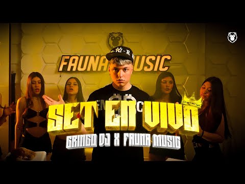 Fauna Music and GRINGO DJ 