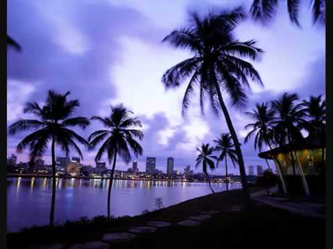 Anidier - Demi frère