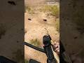 The Benelli M4 Likely The Best Semi Auto Shotgun Ever Made Aerialshooting Benelli M4