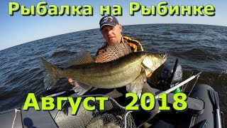 С какого числа открывается рыбалка на рыбинском водохранилище