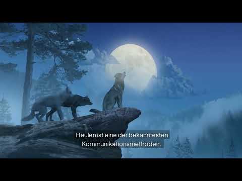 Die Welt der Wölfe: Eine Reise durch das reich der Natur