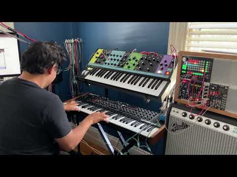 MPC, Zoia, Prophet Rev 2 groove