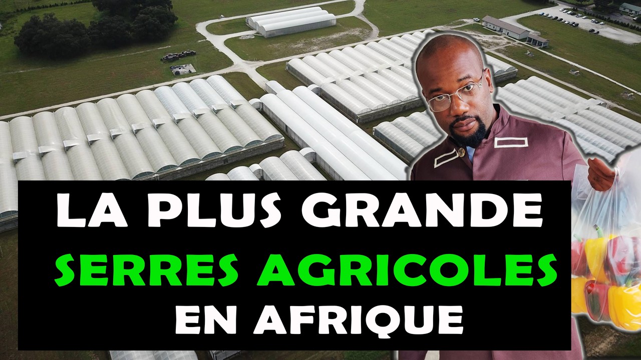 Il quitte les États-Unis et devient le Roi de l'agriculture sous-serre en Afrique