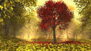 The Dear Hunter - Battesimo Del Fuoco (Remix)