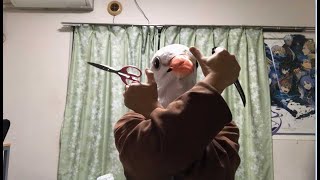 ハサミとナイフを同時に回す！！　#Shorts