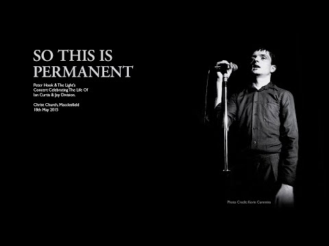 So This Is Permanent: Companion Interview