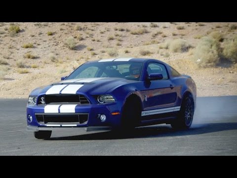 StefanBotsev’s Video 106615633088 TLBPXgTbLNs