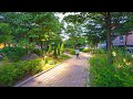 Relaxing Night Walk in the Forest and Village | Nature Sounds for Sleep and Study 4K HDR