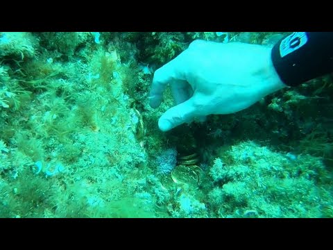 Ghjustizia : Le trésor de Lava