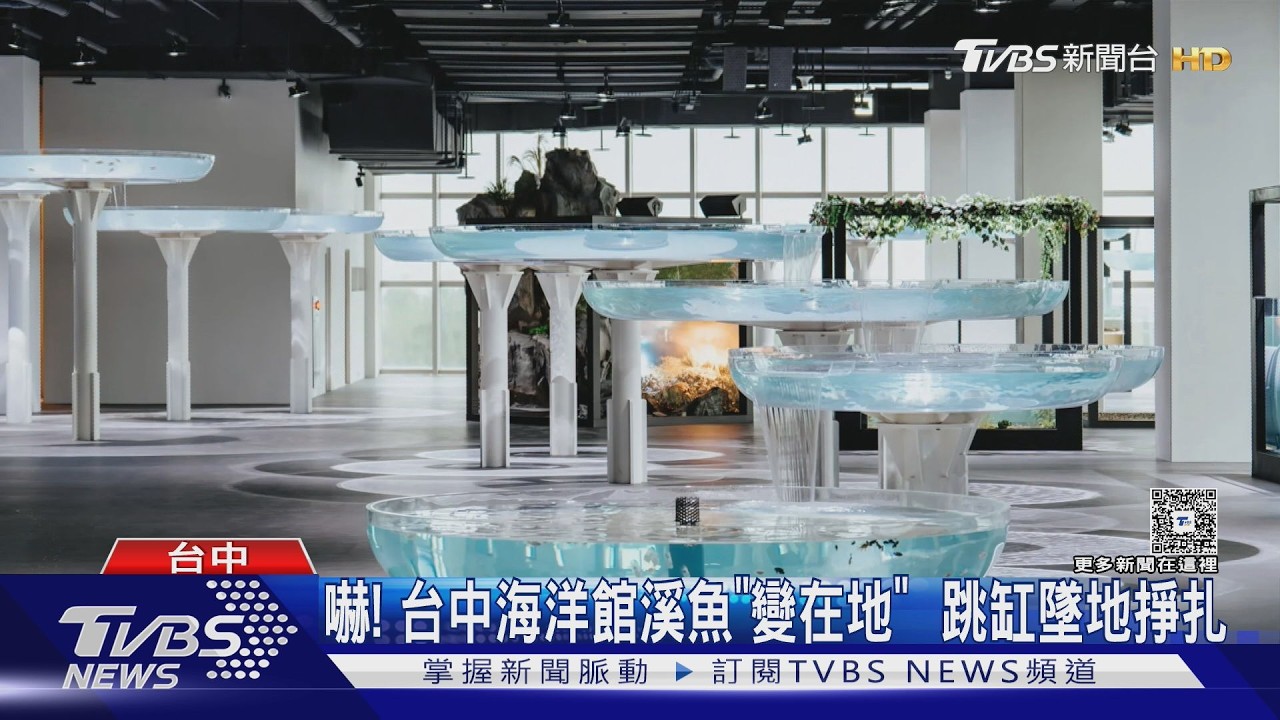 影音/台中海洋館魚缸太淺?溪魚「驚跳墜地」受傷 館方:疑遊客驚嚇魚群