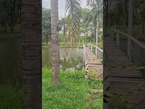 Tropicalia Restaurante. Itapaci-Goias