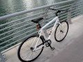 Trek Soho S (2009 model) matt white (Dubai 2011 ...