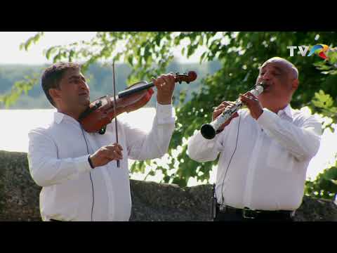 Ion Ghiţulescu - Moare soacră-mea de mine (@Politică şi delicateţuri)