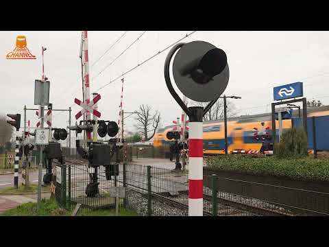DUTCH RAILROAD CROSSING – Den Dolder – Dolderseweg