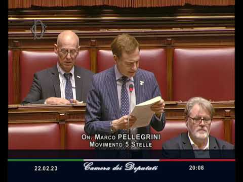 Marco Pellegrini - M5S Camera - Intervento in Aula - 22/02/2023