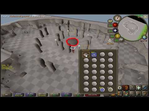 Best runecrafting pet method - Mind runes pvp world