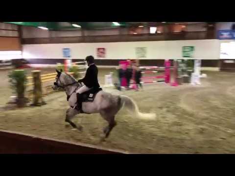 28.01. Herford: S*-Springen - 1. Markus Brinkmann/Kingston vh Akenhof