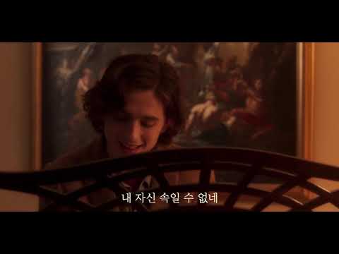 [레이니 데이 인 뉴욕] 티모시 세레나데 영상(1 hour ver.)