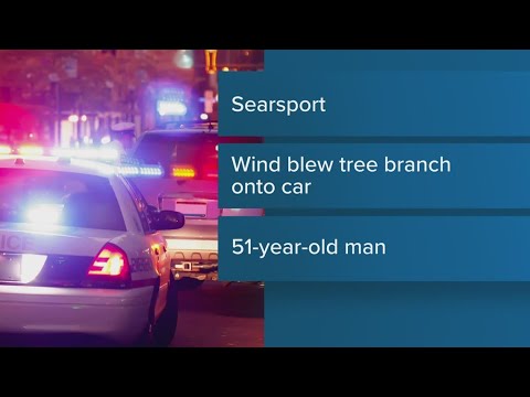 Man dies after vehicle struck by falling tree in Maine amid Lee winds