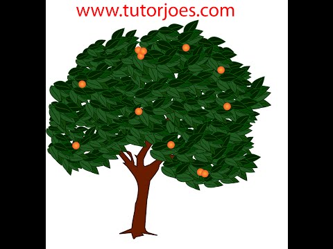 Illustrator Brush Tool Tamil