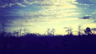 Pleasantry - Window Gazer (Fauxe Remix)