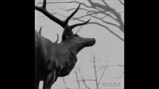 A desolation song Agalloch (Legendado )
