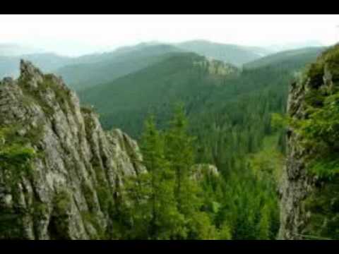 Török Ádám és a Mini:   Éjféli találkozás Béla bácsival a csíki havasok alatt