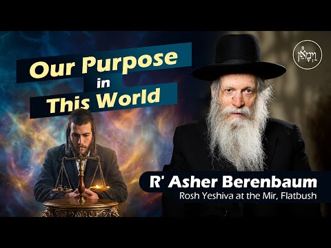 Our Purpose in This World | Rabbi Asher Berenbaum