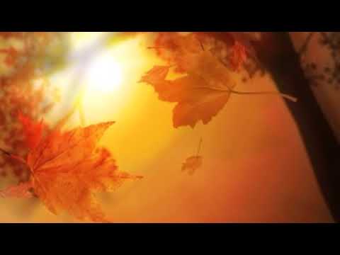 Merja Juutinen,Raimo Laamanen - kevät ja syys