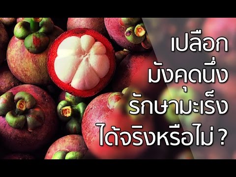 เพิ่มปริมาณของสมาชิกที่ ธ อร์ขายค้อนในร้านขายยา