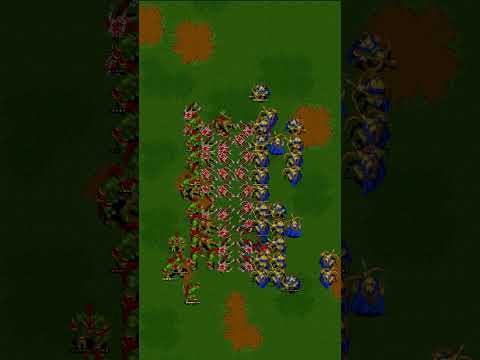 #Warcraft II Fight Club - Elven Archers vs Troll Axethrowers #classicgaming #pcgaming #rtsgaming