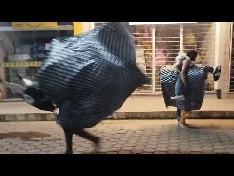 Bloco do Zé Pereira, Rodeiro, 2026 - parte 1