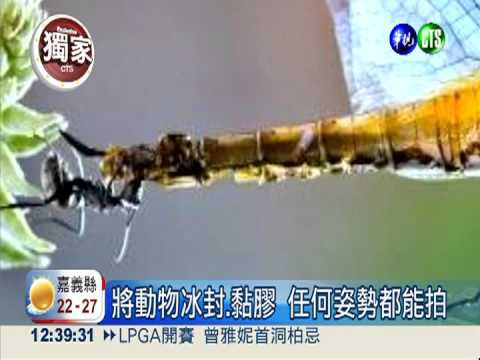 "生動"寫真有假?! 冰封黏膠涉虐待