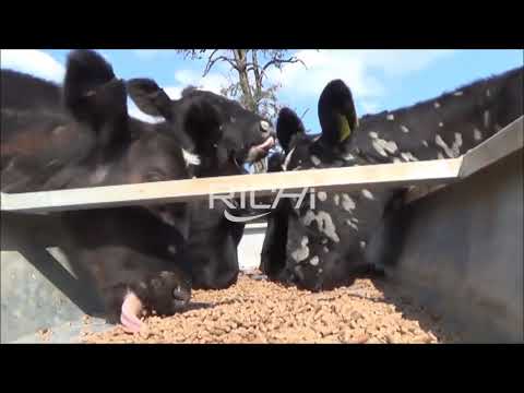 , title : 'Cattle Feed Pellet Machine, Cattle Feed Pellet Production Line'