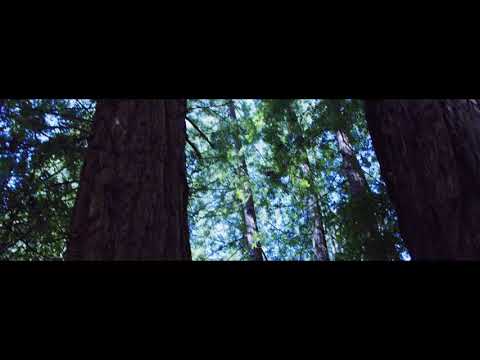 Marvin Game - Kiffer (prod. MRJAH)_Full-HD