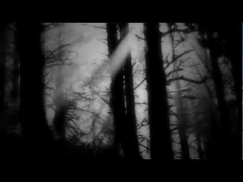 Collection Oscar CArvallo -  Confidential - Haute Couture 2011-2012