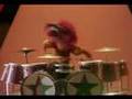 Muppet Show Harry Belafontes Drum Duet With Animal 314