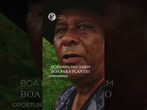 SÍTIO COM CASA NOVA E 3 NASCENTES EM SETE BARRAS-SP: 7 Alqueires de Pura Água e Oportunidade!
