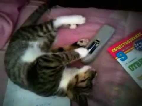 Ты не ПОЛУЧИШЬ его!!!