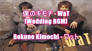 僕のキモチ - WaT[Wedding BGM]Bokuno Kimochi - ワット(ギャオ『WaT編』CMソング)