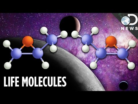 This Discovery Shows Life Might Have Come From Space