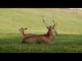 4k Video Original 4k Video Ultra HD 4k Video Best Quality 4k Video 4k Video 60fps 4k Video