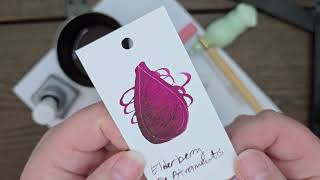 Elderberry Scented Ink Review De Atramentis Fountain Pen Ink