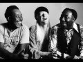 Muddy Waters - Crosseyed Cat