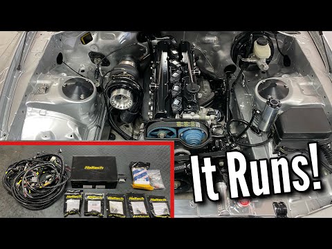 My Wifes Supra Starts! Haltech NEXUS R5 & Kaizen Wiring Harness